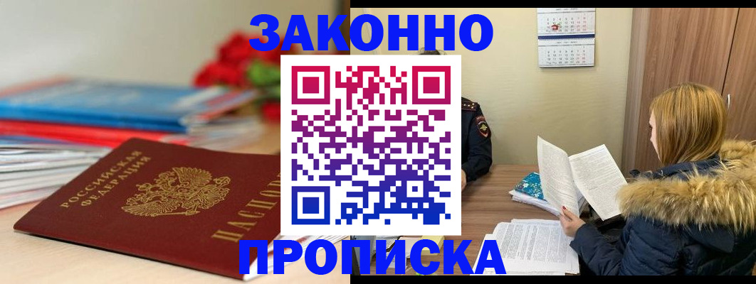 прописка поиск в Камышине