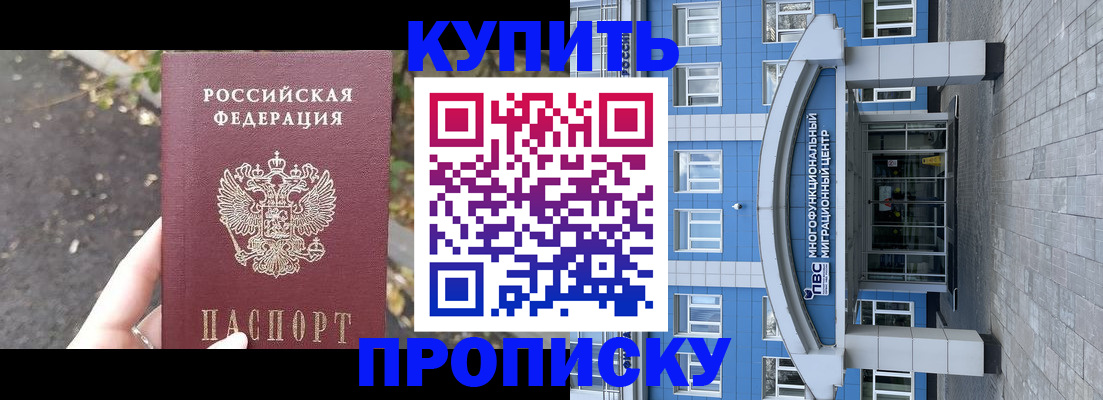 прописка паспорт в Камышине